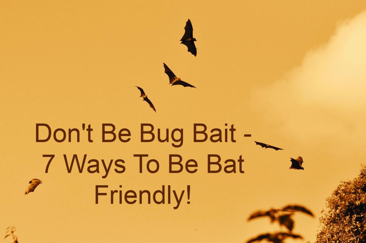 Don't Be Bug Bait - Plants That Attract Insects That Bats Love!