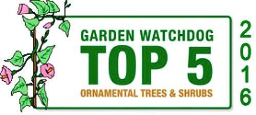 One of the Top 5 Nurseries Award For Trees and Shrubs