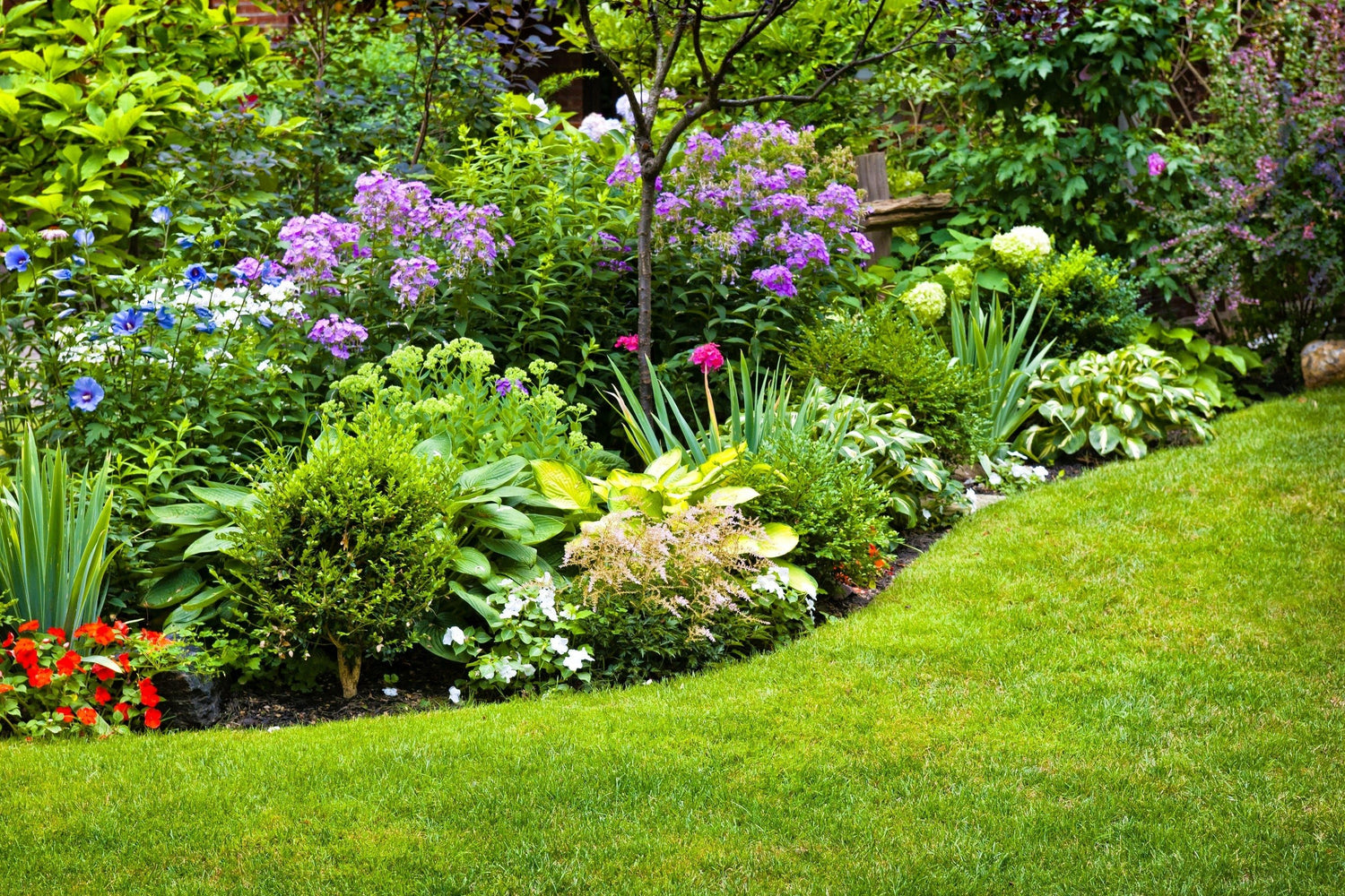 Planting Perennials