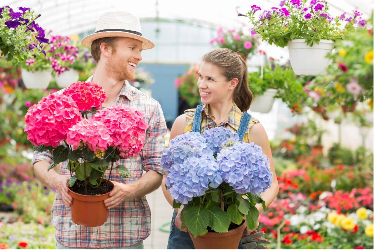 Buying Your Garden Plants from Online Garden Centers