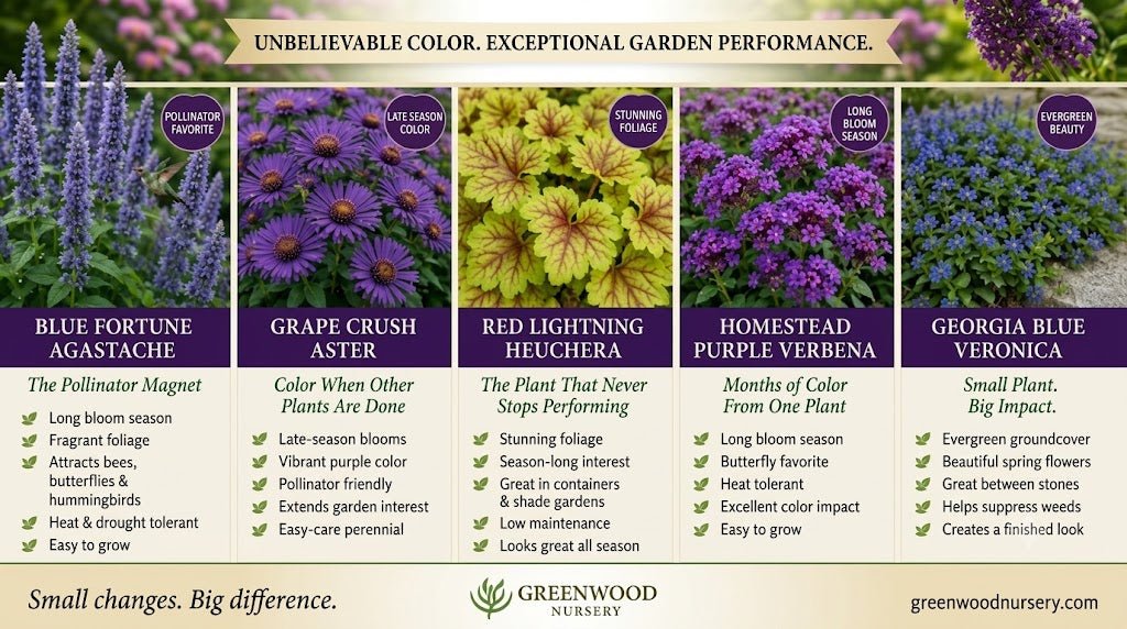 
      Five Summer Garden Favorites Worth Making Room For
 – Greenwood Nursery