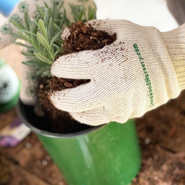 Best Knitted Gloves being used for gardening tasks