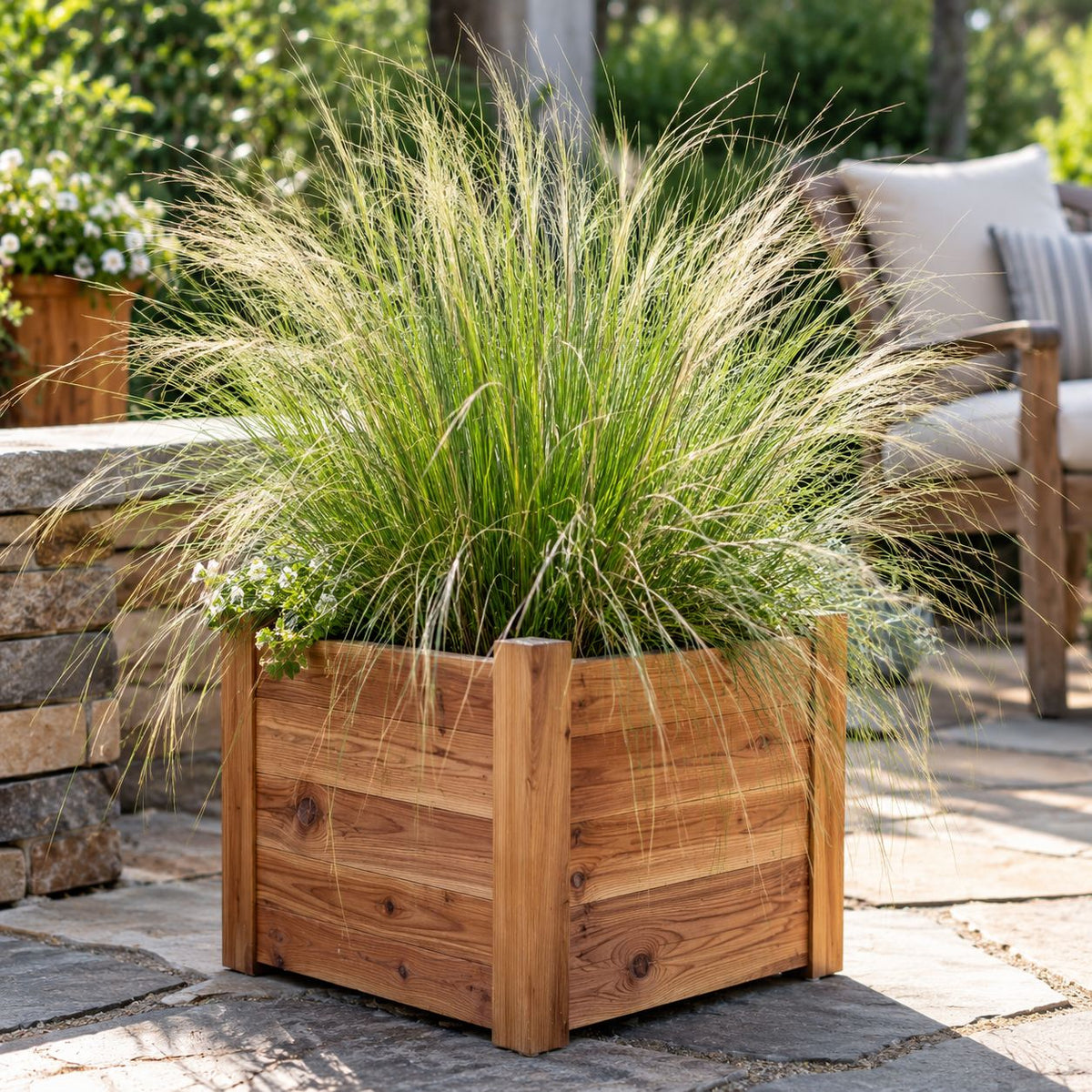 Mature Mexican Feather Grass with graceful arching foliage growing in a natural cedar planter box on a sunny flagstone patio.