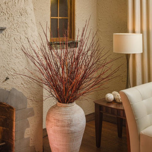 Close-up of Arctic Fire® Red Dogwood's red twigs used inside a vase for decorations