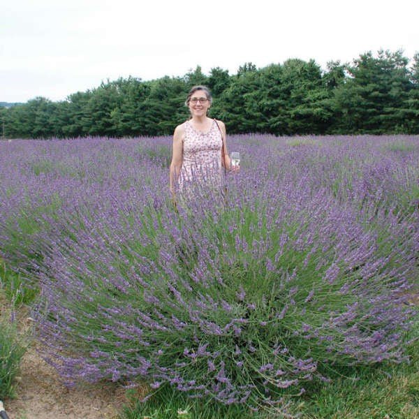 lavender phenomenal woman in field