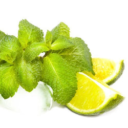Refreshing Mojito Mint for Drinks and Aromatic Gardens