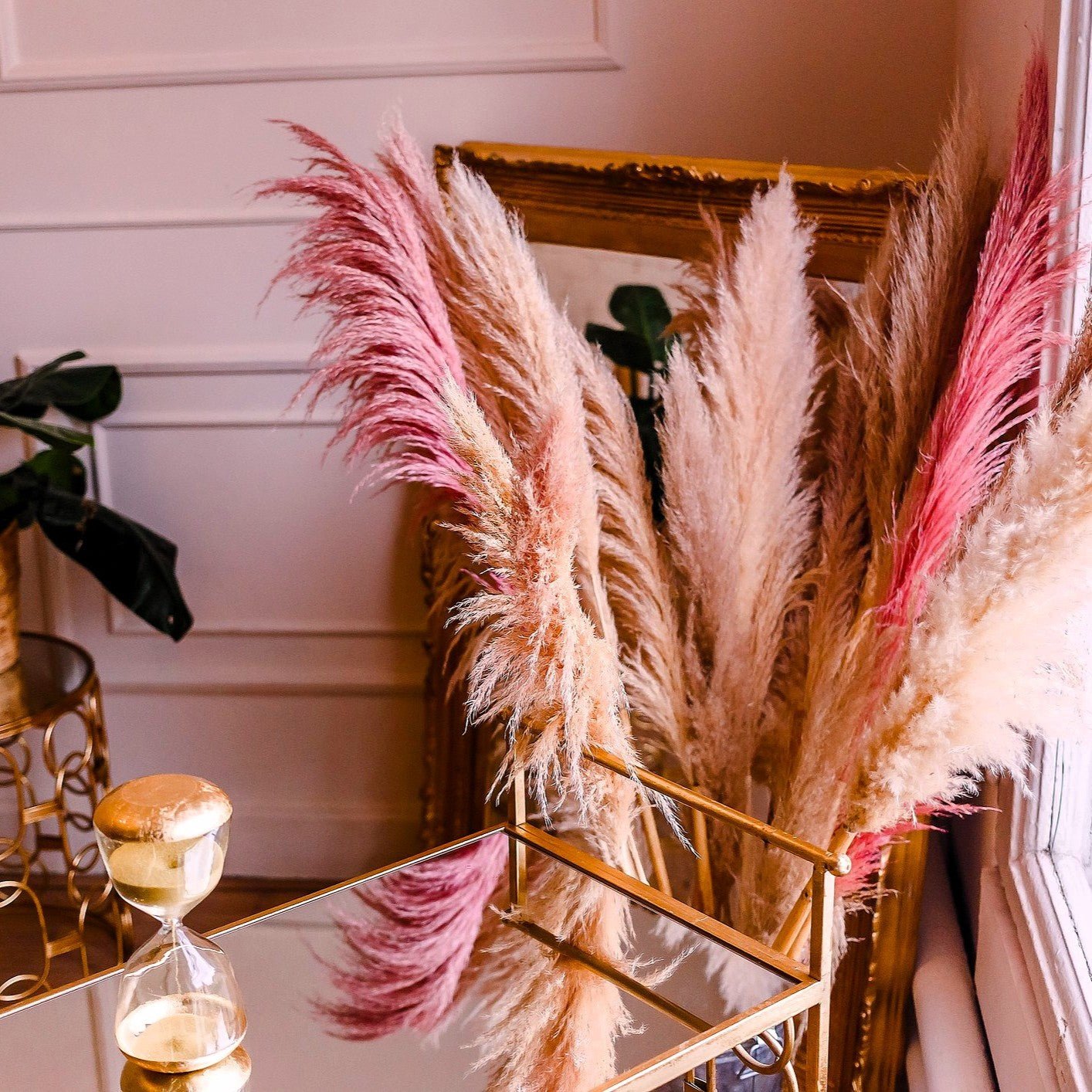 pampas grass pink in vase