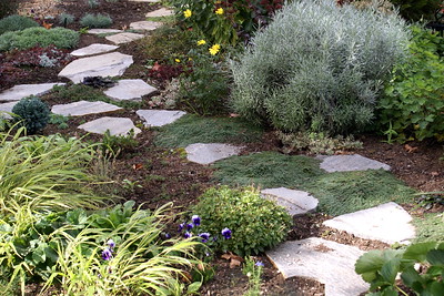 walk on ground covers for stepping stones