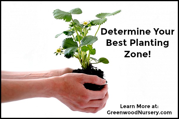 How to determine your best plant growing zone location