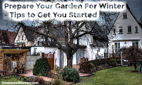 Prepare your yard and garden for winter tips to get started