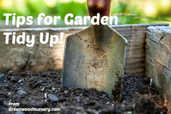 tips for spring garden tidy up