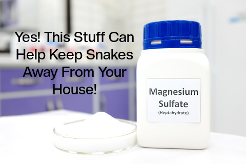 Epsom salts can help keep snakes away from your house
