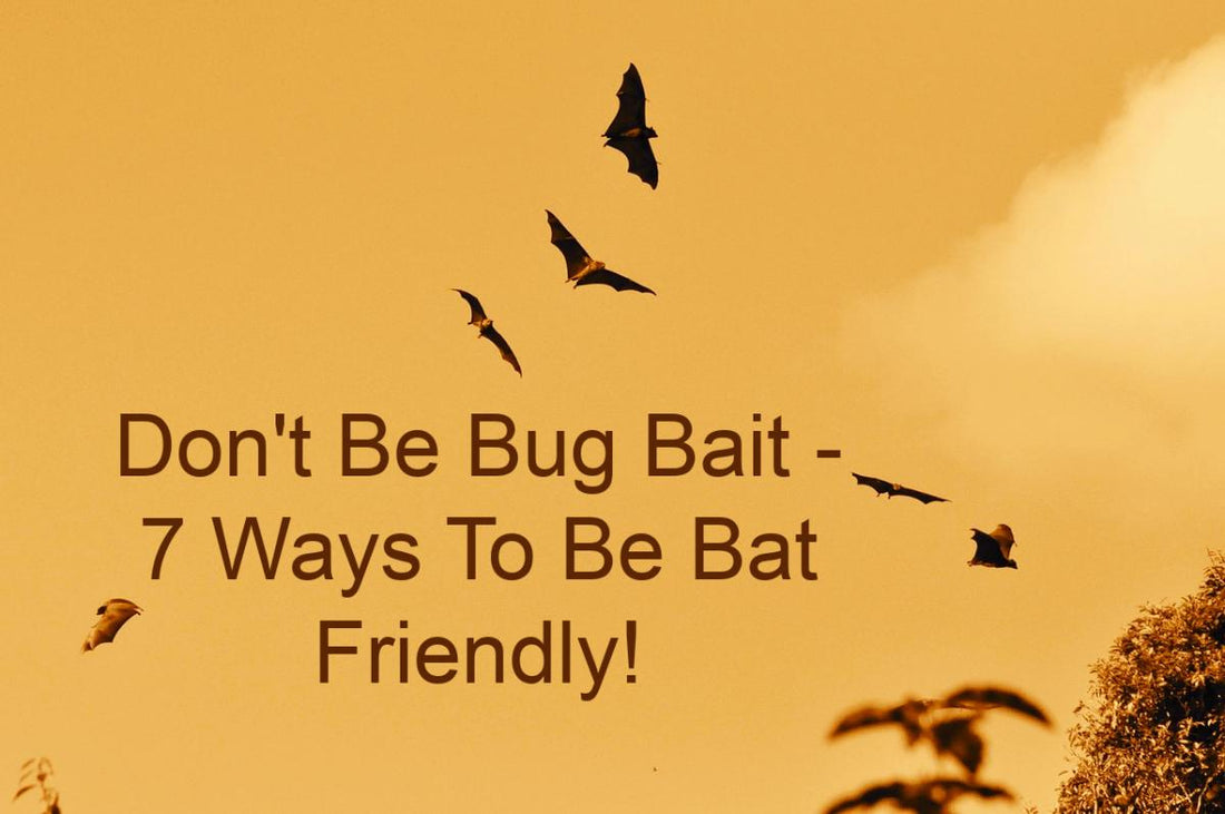 Don't Be Bug Bait - Plants That Attract Insects That Bats Love!