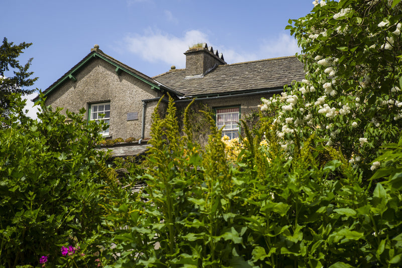 8 Gardening Mistakes and How to Fix Them