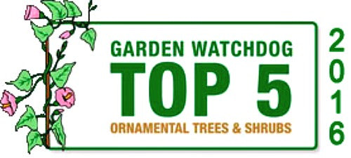 One of the Top 5 Nurseries Award For Trees and Shrubs