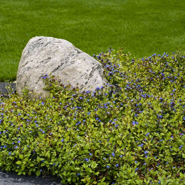 Fall weather is perfect for planting!
