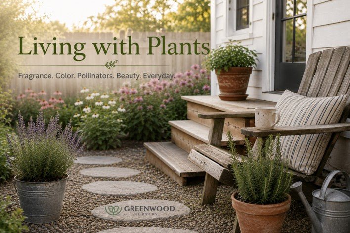 Living with Plants banner featuring a cottage patio with a wooden armchair, potted rosemary, and salvia. Text reads 'Living with Plants - Fragrance. Color. Pollinators. Beauty. Everyday.' with the Greenwood Nursery logo.