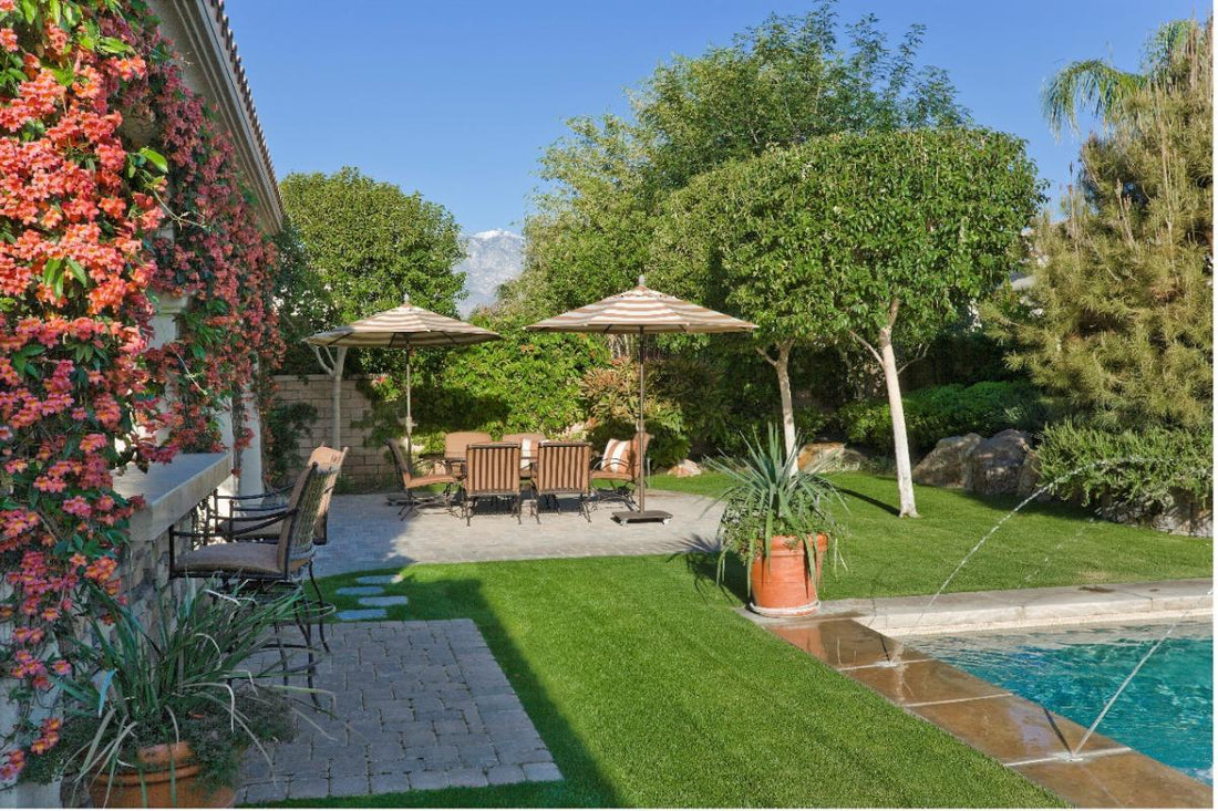 What to do in Your Yard Before and After Hurricanes, Storms, and Tornadoes