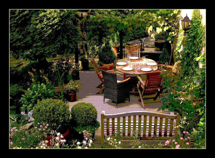 Plants that Brighten up Shady Spots