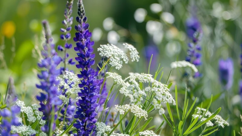 The Art of Companion Planting: Plant Partnerships for Success!