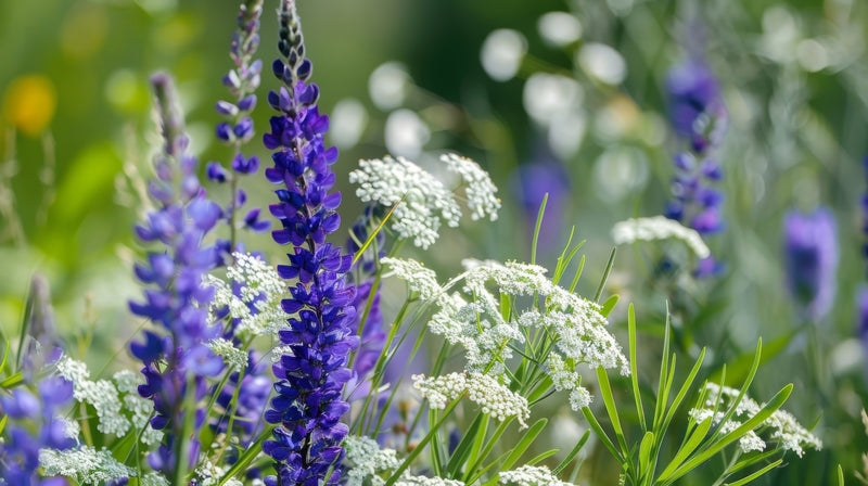 The Art of Companion Planting: Plant Partnerships for Success!