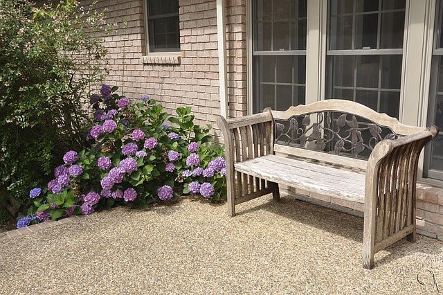Planting Around the Patio