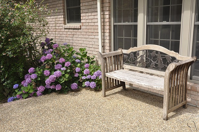 Planting Around the Patio