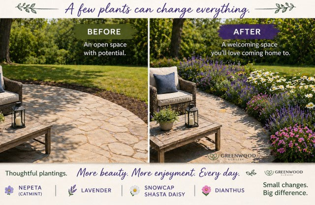 Feel the Difference: You Don't Need a Full Redesign to Change How Your Garden Feels
