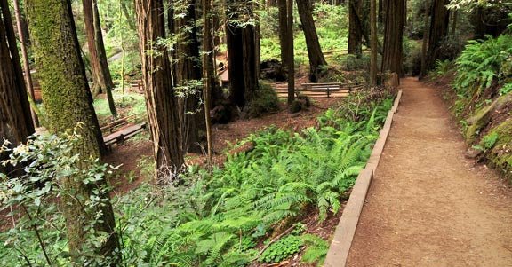 Visiting The Arboretum - Come Along With Me!