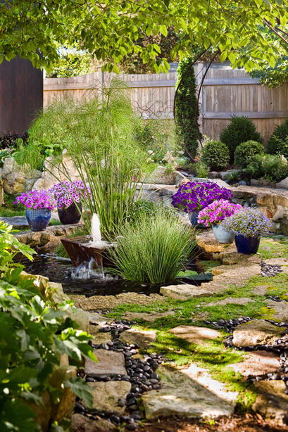 Best Ideas for Ground Covers in Lawn Free Yards
