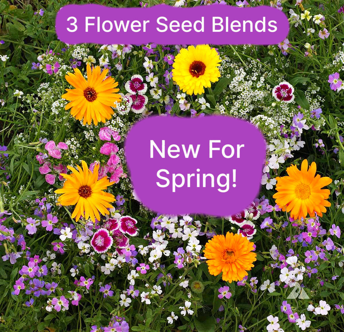 3 New Flower Seed Mixes - Fragrance, Deer Resistant, Attract Hummingbirds