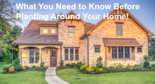 7 Tips on Adding Foundation Plantings Around Your Home