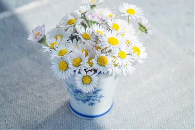 5 Tips for Keeping Your Cut Flowers Fresh