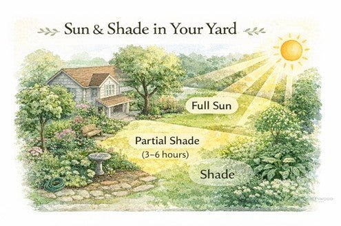 Garden bed receiving full sun for most of the day