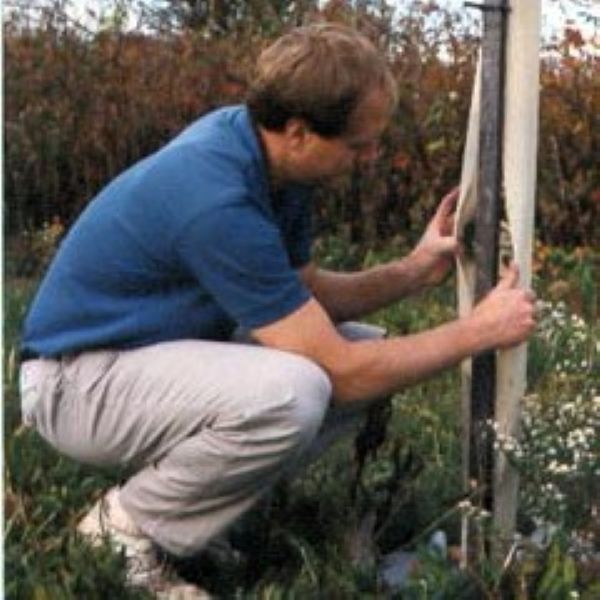 Plant an Herb Garden