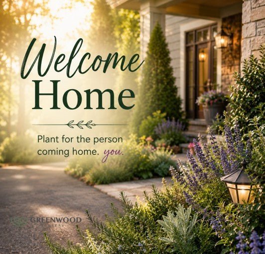 Sunny home driveway banner with lavender and salvia. Text reads: Welcome Home — Plant for the person coming home. you. with the Greenwood Nursery logo.