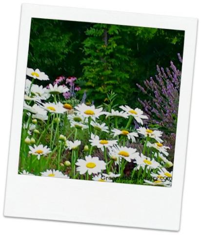 Prairie Gardens