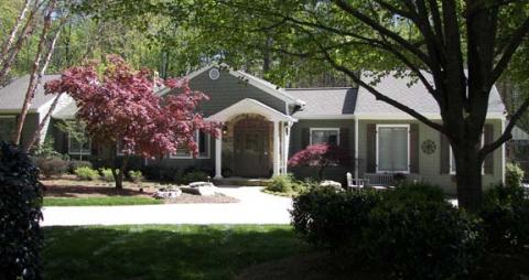 Shade Trees