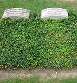 Plants For Grave Sites