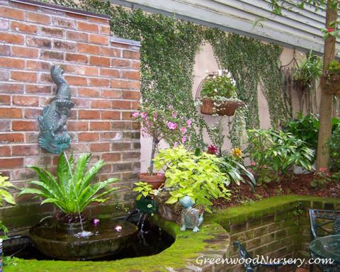 Vertical Garden Plants