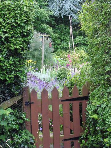 Secret Garden Plants