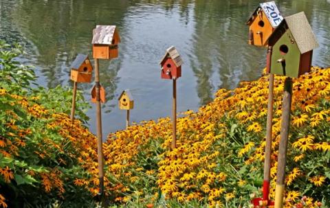 Wildlife Gardens