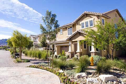 Xeriscape Landscape Plants