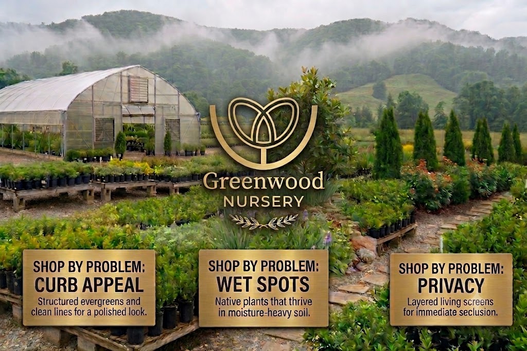 A promotional graphic for Greenwood Nursery showing a landscaped garden center with rows of plants, a greenhouse, misty mountains in the background, and three gold text panels at the bottom advertising curb appeal, wet spots, and privacy.