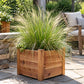 Mature Mexican Feather Grass with graceful arching foliage growing in a natural cedar planter box on a sunny flagstone patio.