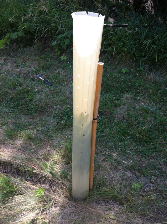 Close-up of Miracle Tubes Tree Protectors easily installed over young plants