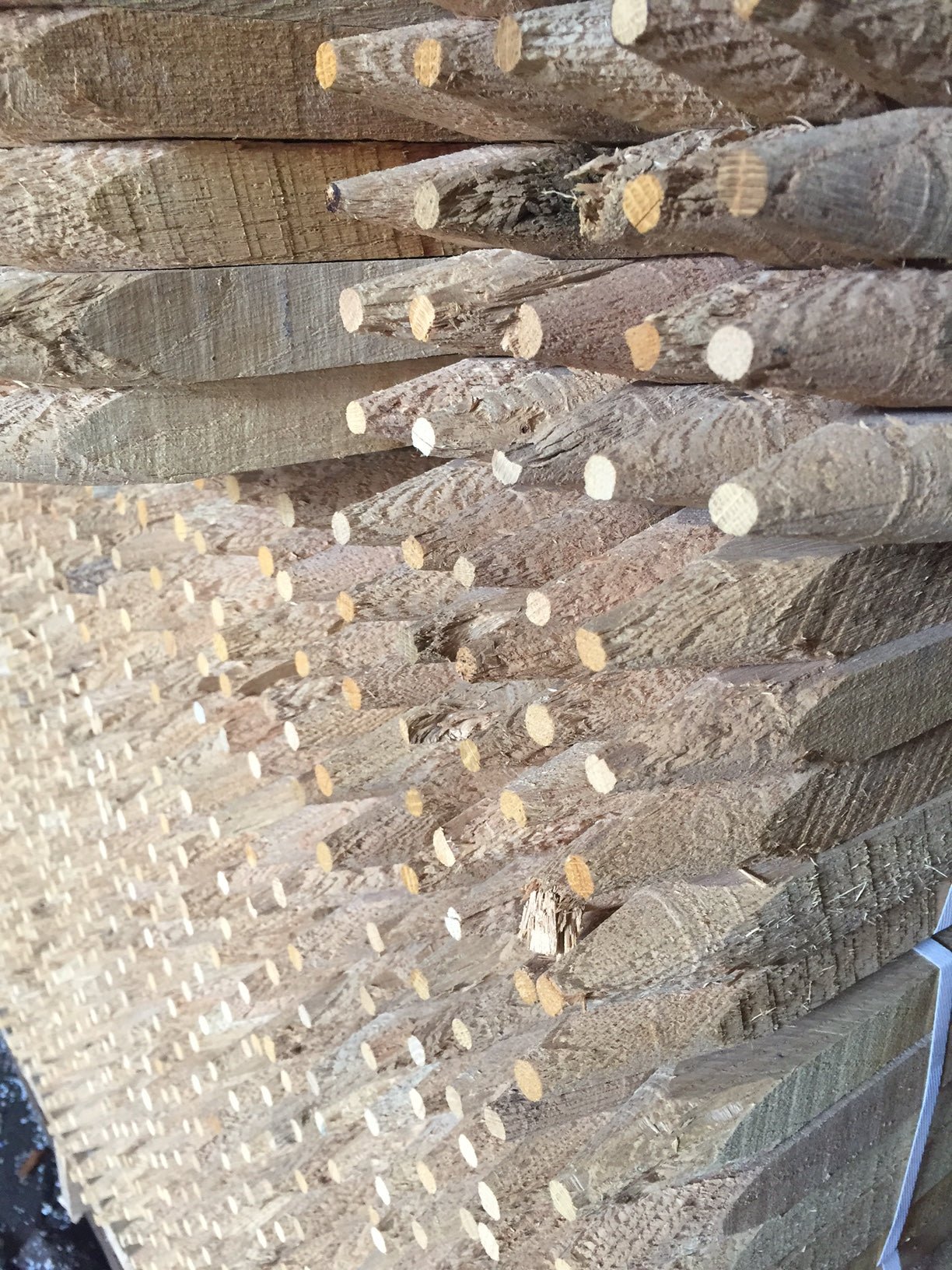 Tree Support Stake