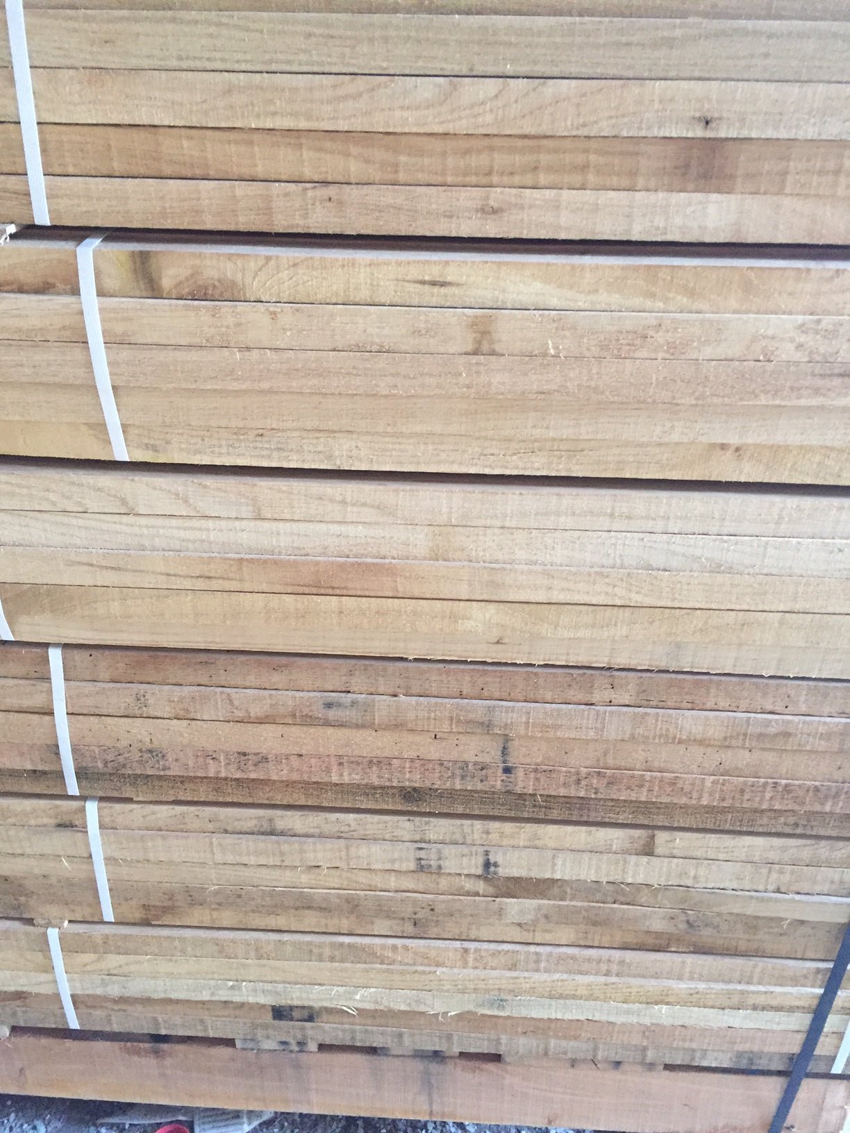 Tree Support Stake