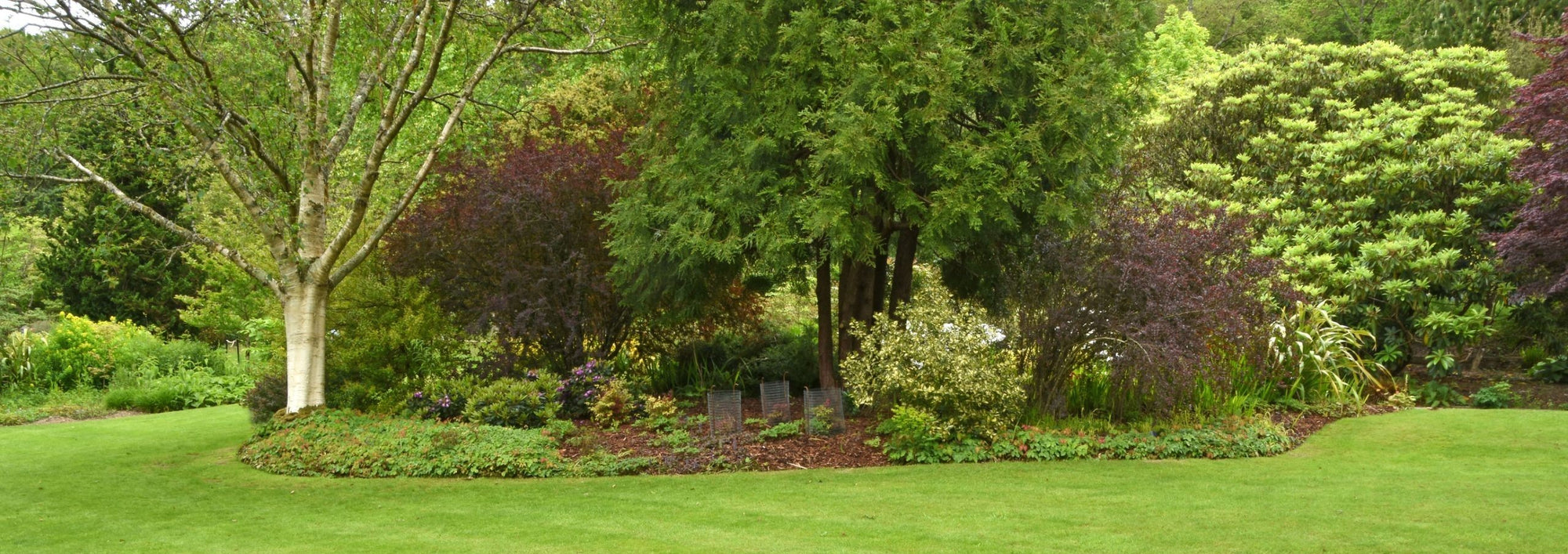 Services - Landscaping, Trees, Ornamental and Native Gardens - Arbor Doctor