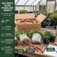 Sunny slope hillside stabilizer plant bundle breakdown showing growing zones 4 to 8, 200 to 250 square foot coverage, and plant inventory callouts